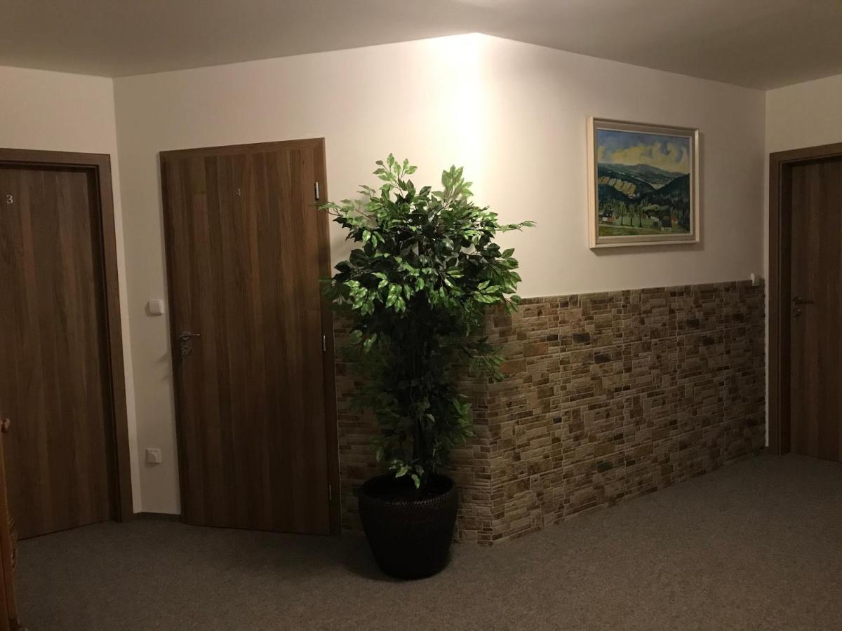 Na Planyrce Hotel Paseky nad Jizerou Exterior foto