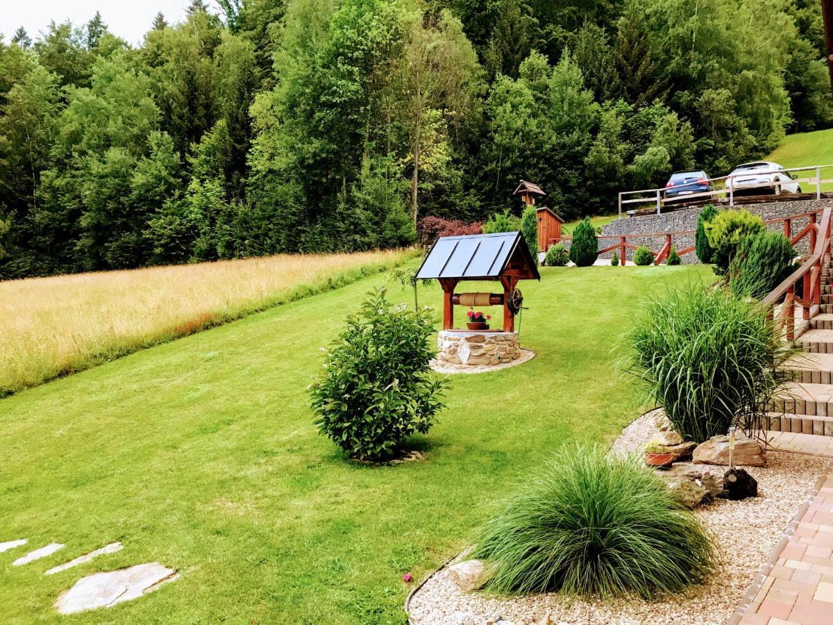 Na Planyrce Hotel Paseky nad Jizerou Exterior foto