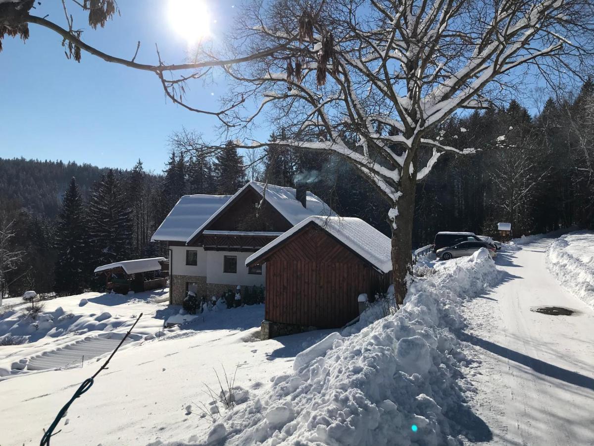 Na Planyrce Hotel Paseky nad Jizerou Exterior foto
